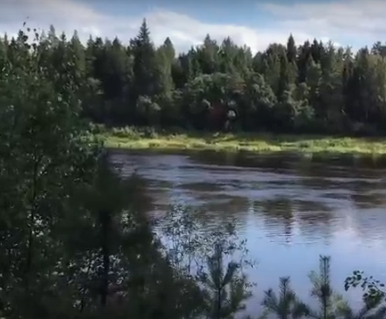 Сплав и рыбалка на р. Кобожа от п. Кабожа до г. Устюжна (длина 149 км) - фото