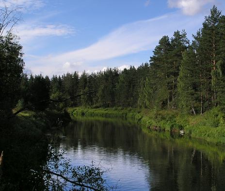Сплав и рыбалка на р. Кобожа от п. Кабожа до г. Устюжна (длина 149 км) - фото
