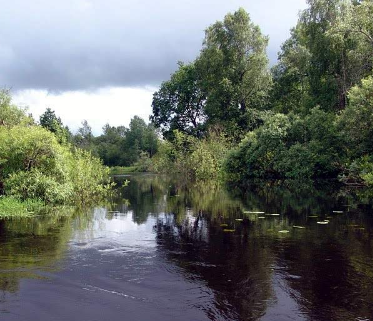 Сплав и рыбалка на р. Кобожа от п. Кабожа до г. Устюжна (длина 149 км) - фото