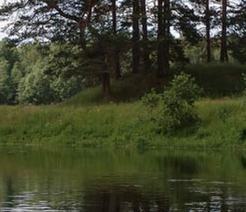 Сплав и рыбалка на р. Кобожа от п. Кабожа до г. Устюжна (длина 149 км) - фото