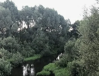 Сплав и рыбалка на реке Уза от с. Китунькино до п. Шемышейка (длина 95 км) - фото