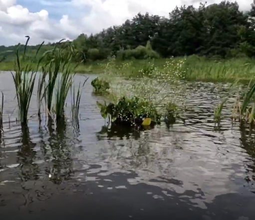 Сплав и рыбалка на реке Уза от с. Китунькино до п. Шемышейка (длина 95 км) - фото