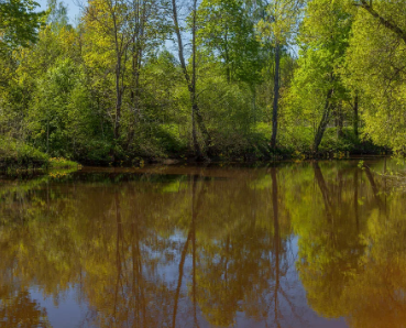Сплав и рыбалка на реке Уза от с. Китунькино до п. Шемышейка (длина 95 км) - фото