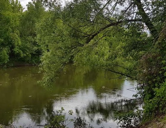 Сплав и рыбалка на реке Уза от с. Китунькино до п. Шемышейка (длина 95 км) - фото