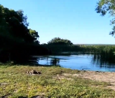 Сплав и рыбалка на реке Уза от с. Китунькино до п. Шемышейка (длина 95 км) - фото