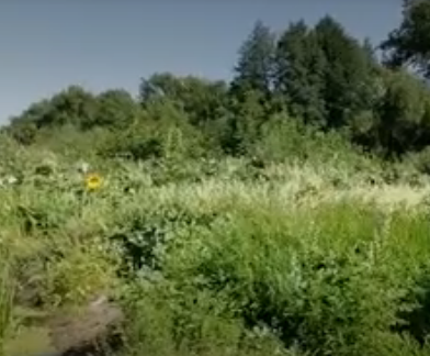 Сплав и рыбалка на реке Уза от с. Китунькино до п. Шемышейка (длина 95 км) - фото