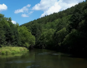 Сплав и рыбалка на реке Уза от с. Китунькино до п. Шемышейка (длина 95 км) - фото