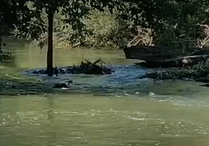 Сплав и рыбалка на реке Уза от с. Китунькино до п. Шемышейка (длина 95 км) - фото