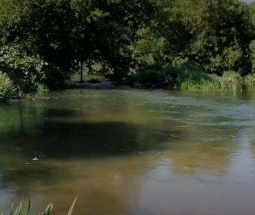 Сплав и рыбалка на реке Уза от с. Китунькино до п. Шемышейка (длина 95 км) - фото