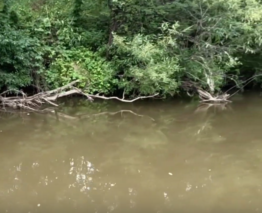 Сплав и рыбалка на реке Уза от с. Китунькино до п. Шемышейка (длина 95 км) - фото