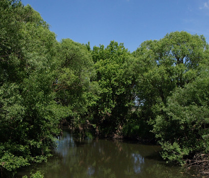 Сплав и рыбалка на реке Уза от с. Китунькино до п. Шемышейка (длина 95 км) - фото