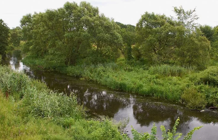 Сплав и рыбалка на реке Уза от с. Китунькино до п. Шемышейка (длина 95 км) - фото