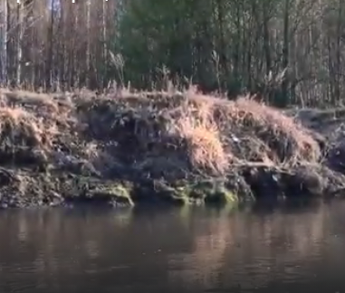 Сплав и рыбалка на реке Барыш от п. Чуфарово до г. Алатырь (длина 178 км) - фото