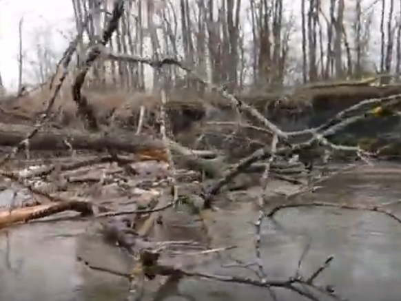 Сплав и рыбалка на реке Барыш от п. Чуфарово до г. Алатырь (длина 178 км) - фото