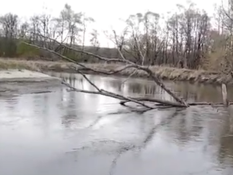 Сплав и рыбалка на реке Барыш от п. Чуфарово до г. Алатырь (длина 178 км) - фото