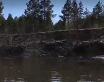 Сплав и рыбалка на реке Барыш от п. Чуфарово до г. Алатырь (длина 178 км) - фото