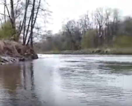 Сплав и рыбалка на реке Барыш от п. Чуфарово до г. Алатырь (длина 178 км) - фото