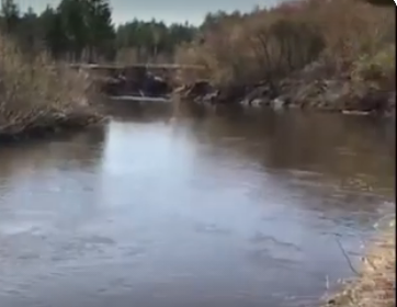 Сплав и рыбалка на реке Барыш от п. Чуфарово до г. Алатырь (длина 178 км) - фото