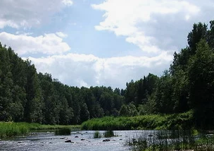 Сплав и рыбалка на реке Пола от д. Новая Русса до п. Пола (длина 123 км) - фото