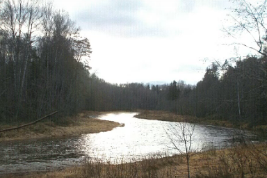 Сплав и рыбалка на реке Пола от д. Новая Русса до п. Пола (длина 123 км) - фото