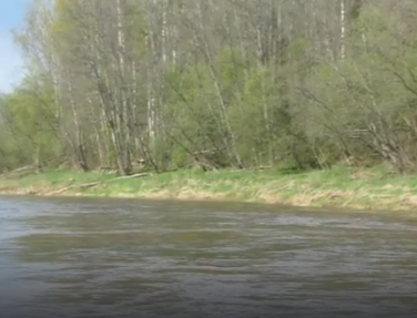 Сплав и рыбалка на реке Пола от д. Новая Русса до п. Пола (длина 123 км) - фото