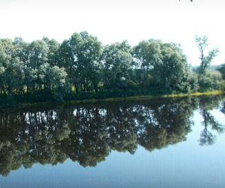 Сплав и рыбалка на реке Пола от д. Новая Русса до п. Пола (длина 123 км) - фото