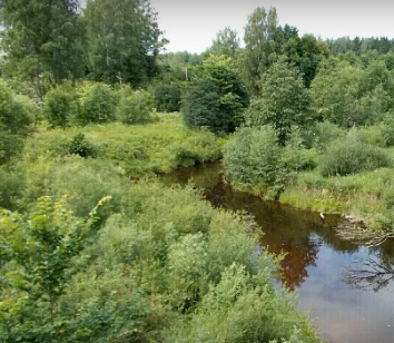 Сплав и рыбалка на реке Пола от д. Новая Русса до п. Пола (длина 123 км) - фото