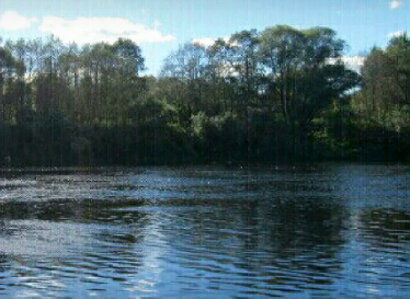 Сплав и рыбалка на реке Пола от д. Новая Русса до п. Пола (длина 123 км) - фото