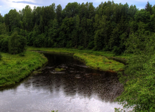 Сплав и рыбалка на реке Пола от д. Новая Русса до п. Пола (длина 123 км) - фото