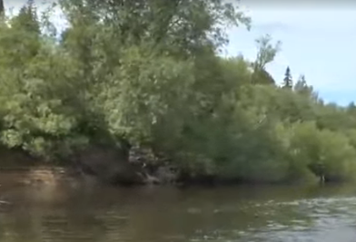 Сплав и рыбалка на реке Коса от с. Мухино до п. Косино (длина 61 км) - фото