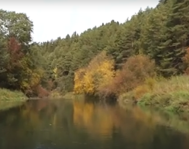 Сплав и рыбалка на реке Коса от с. Мухино до п. Косино (длина 61 км) - фото