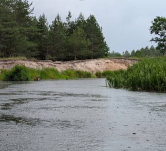 Сплав и рыбалка на р. Колпь от п. Верхневольский до д. Заполье (длина 99 км) - фото