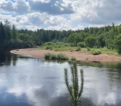 Сплав и рыбалка на р. Колпь от п. Верхневольский до д. Заполье (длина 99 км) - фото