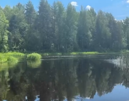 Сплав и рыбалка на р. Колпь от п. Верхневольский до д. Заполье (длина 99 км) - фото