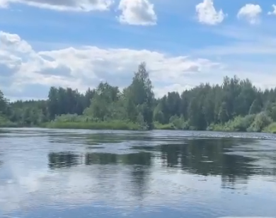 Сплав и рыбалка на р. Колпь от п. Верхневольский до д. Заполье (длина 99 км) - фото