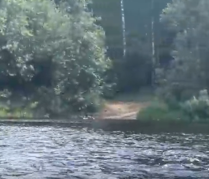 Сплав и рыбалка на р. Колпь от п. Верхневольский до д. Заполье (длина 99 км) - фото