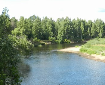 Сплав и рыбалка на р. Колпь от п. Верхневольский до д. Заполье (длина 99 км) - фото