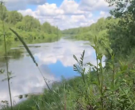 Сплав и рыбалка на р. Колпь от п. Верхневольский до д. Заполье (длина 99 км) - фото