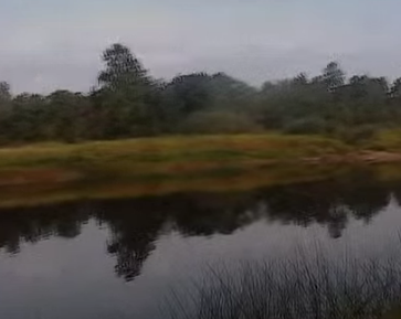 Сплав и рыбалка на р. Чагодоща от д. Клавлино до п. Желябова (длина 66 км) - фото