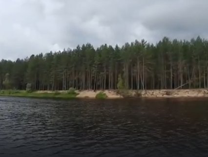 Сплав и рыбалка на р. Чагодоща от д. Клавлино до п. Желябова (длина 66 км) - фото
