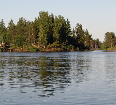 Сплав и рыбалка на р. Чагодоща от д. Клавлино до п. Желябова (длина 66 км) - фото