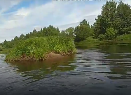 Сплав и рыбалка на р. Чагодоща от д. Клавлино до п. Желябова (длина 66 км) - фото