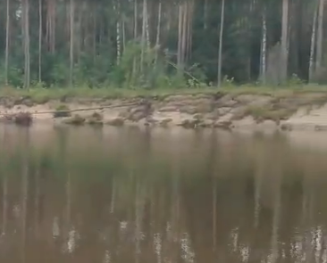 Сплав и рыбалка на р. Чагодоща от д. Клавлино до п. Желябова (длина 66 км) - фото