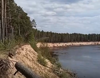Сплав и рыбалка на р. Чагодоща от д. Клавлино до п. Желябова (длина 66 км) - фото