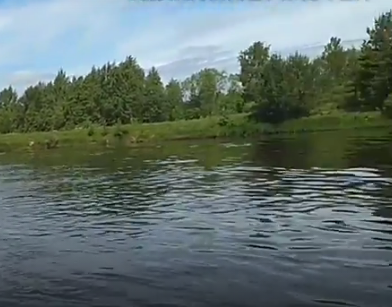 Сплав и рыбалка на р. Чагодоща от д. Клавлино до п. Желябова (длина 66 км) - фото