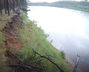 Сплав и рыбалка на р. Чагодоща от д. Клавлино до п. Желябова (длина 66 км) - фото