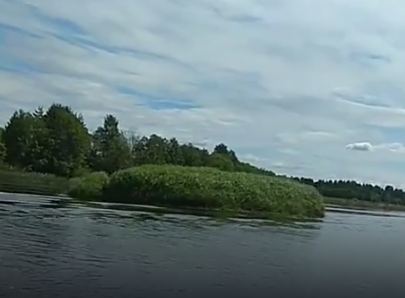 Сплав и рыбалка на р. Чагодоща от д. Клавлино до п. Желябова (длина 66 км) - фото