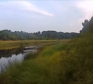 Сплав и рыбалка на р. Чагодоща от д. Клавлино до п. Желябова (длина 66 км) - фото