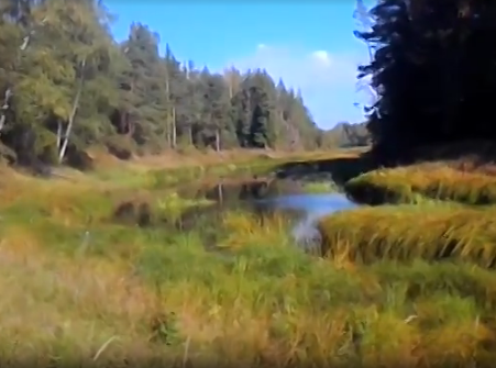 Сплав и рыбалка на р. Чагодоща от д. Клавлино до п. Желябова (длина 66 км) - фото