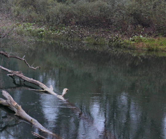 Сплав и рыбалка на реке Дёма от г. Давлеканово до г. Уфа (длина 194 км) - фото